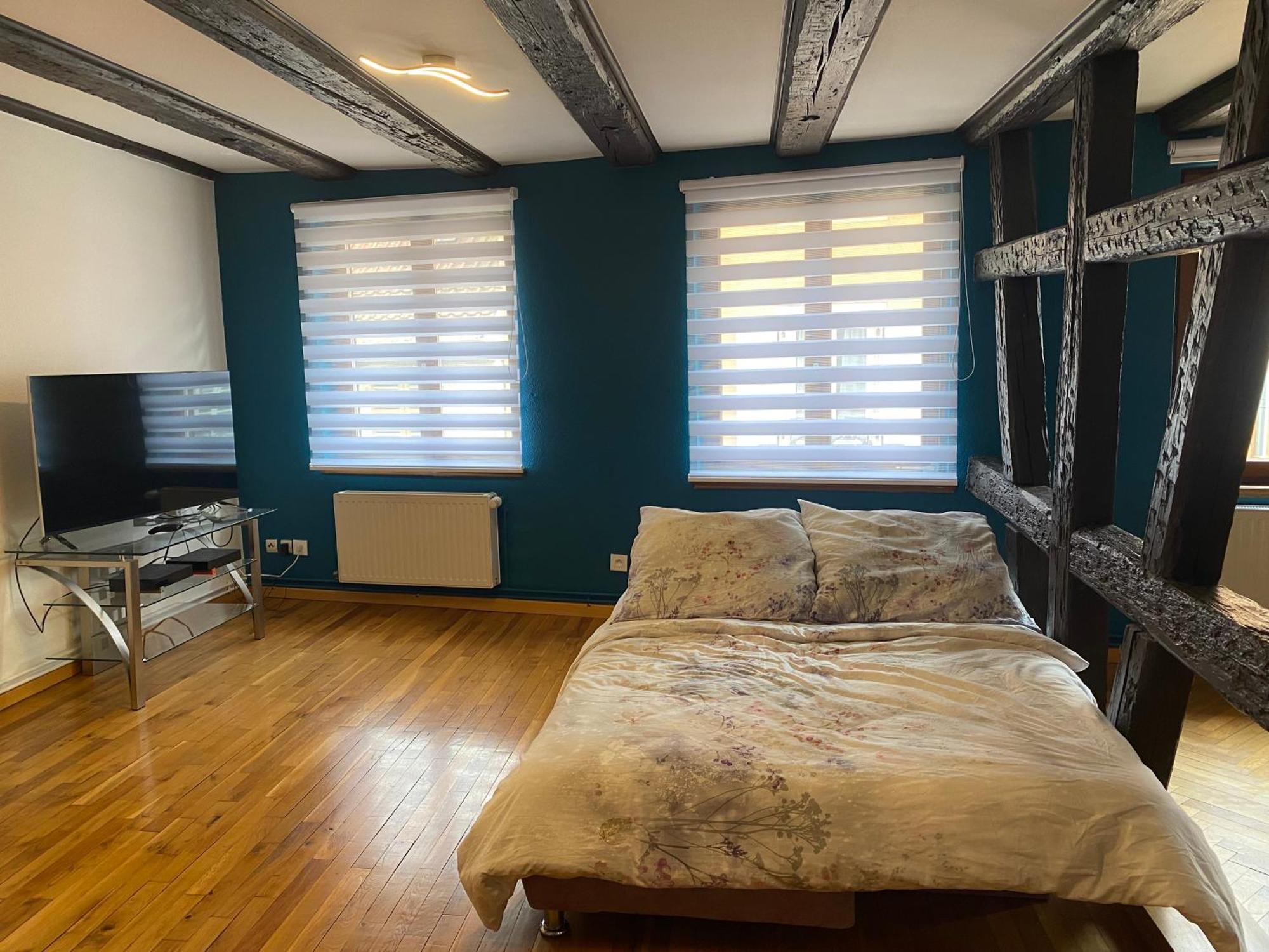 Appartement Spacieux - Coeur Historique De La Ville Barr Zewnętrze zdjęcie